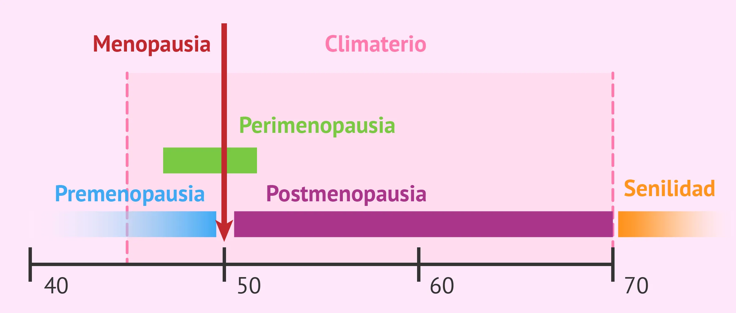 Fases del climaterio – GINECOLASER El Salvador